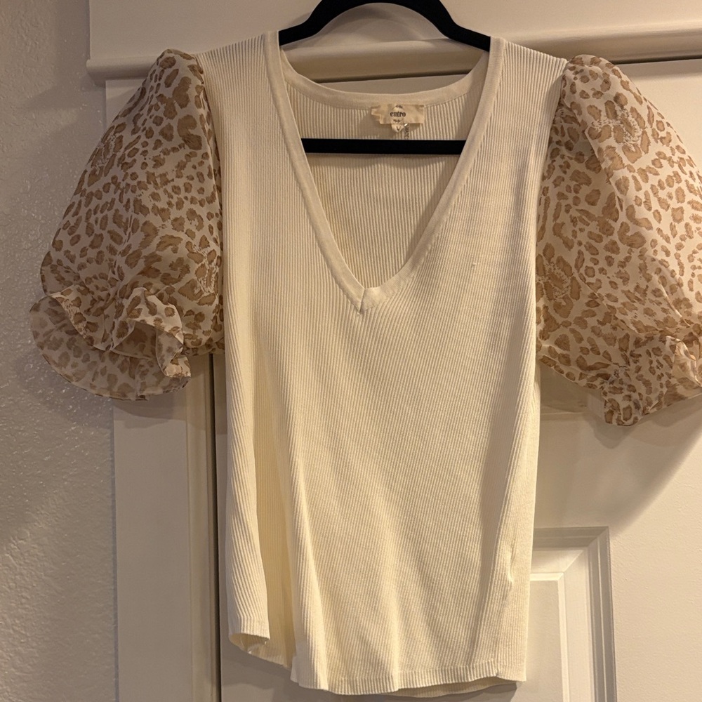 Elegant Cream Puff Sleeve Top